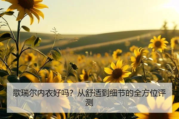 歌瑞尔内衣好吗？从舒适到细节的全方位评测