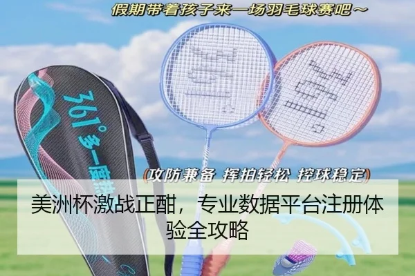 美洲杯激战正酣，专业数据平台注册体验全攻略